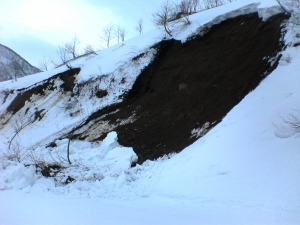 一里野の全層雪崩。