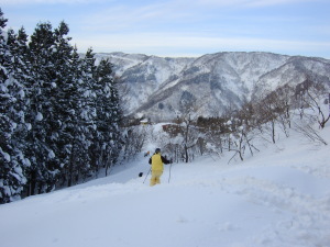 一里野スキー場は新雪で激気持ちよか！！