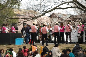 花見で即席阿波踊り