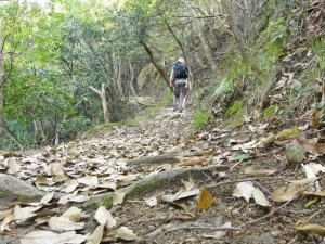 旧摩耶道を歩く