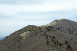 御殿山から武奈ヶ岳への稜線をみる